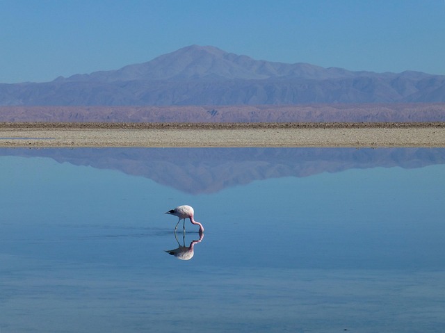 Lake Havasu City