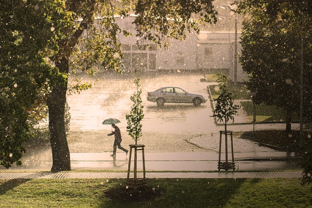 Litchfield Park