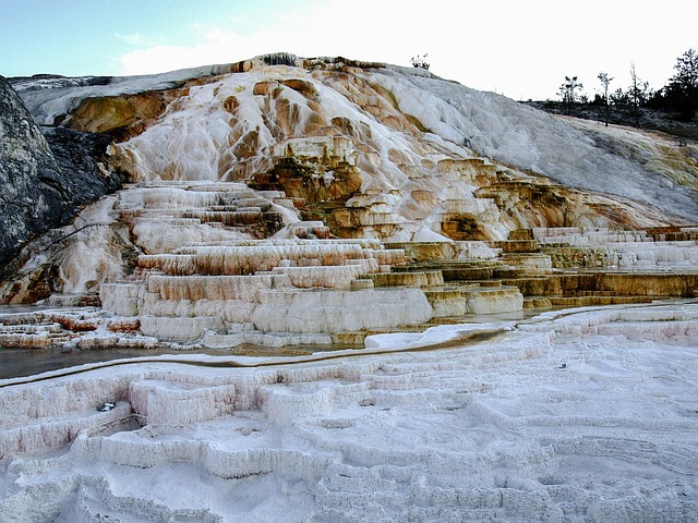 Mammoth