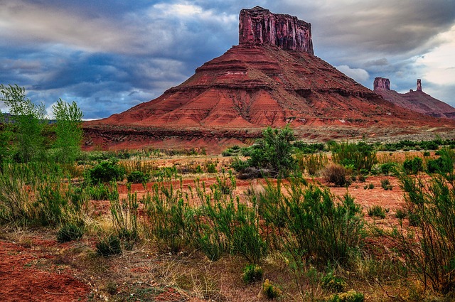 Mesa