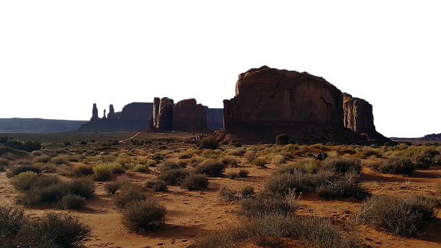 Mesa