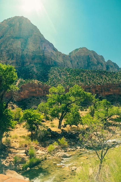 Mesa