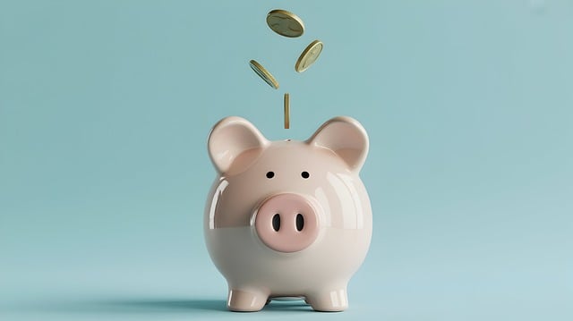 Operating-Budget