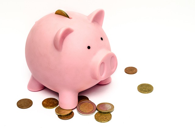 Maximize Profits: Navigating Risks for Long-term Real Estate Success