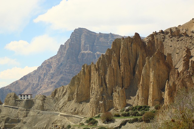 Paradise Valley