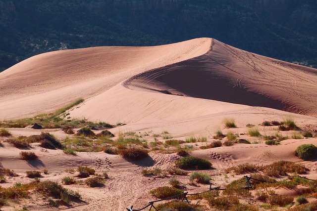 Paradise Valley