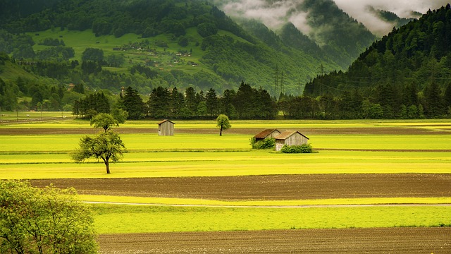 Paradise Valley
