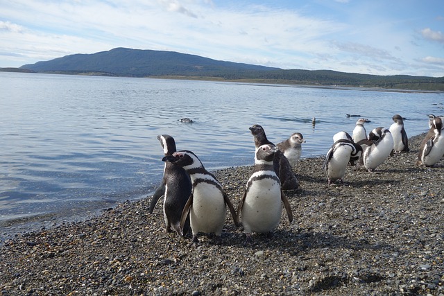 patagonia-640x480-40541229.jpeg