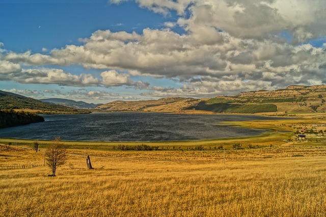 Patagonia