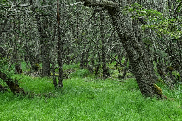 patagonia-640x480-78295142.jpeg