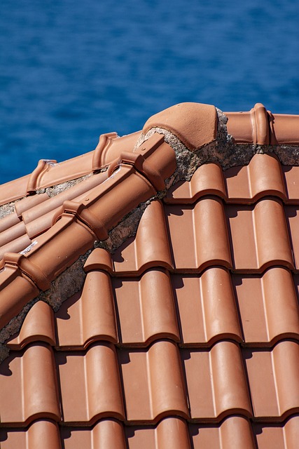 Property-Maintenance