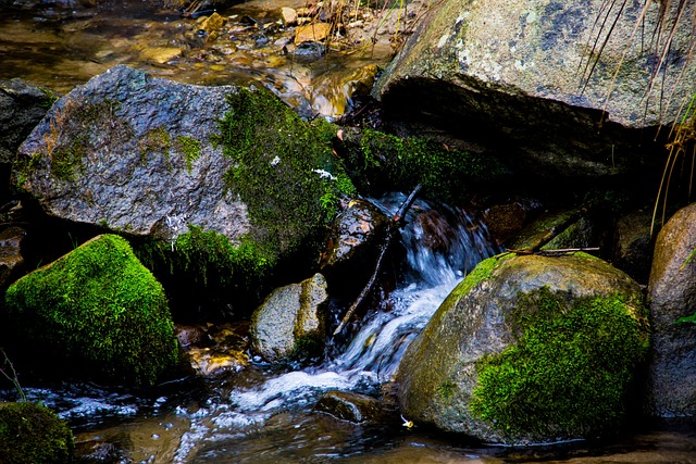 Queen Creek