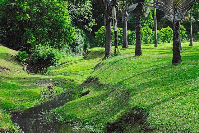 Real Estate: The Catalyst for Urban Renewal and Dynamic Scenes