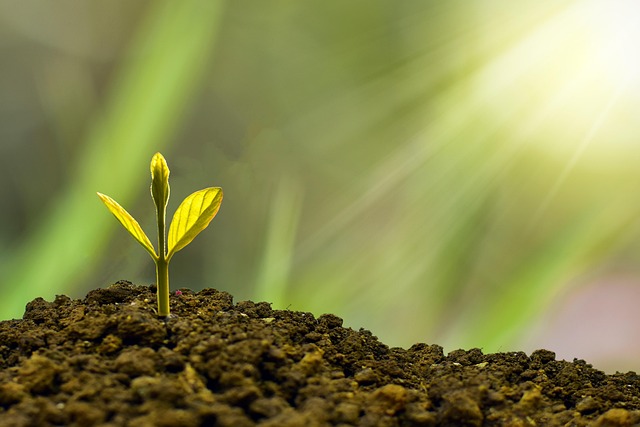 Unleashing Real Estate Potential: Navigating Publicly Traded REITs for Investors
