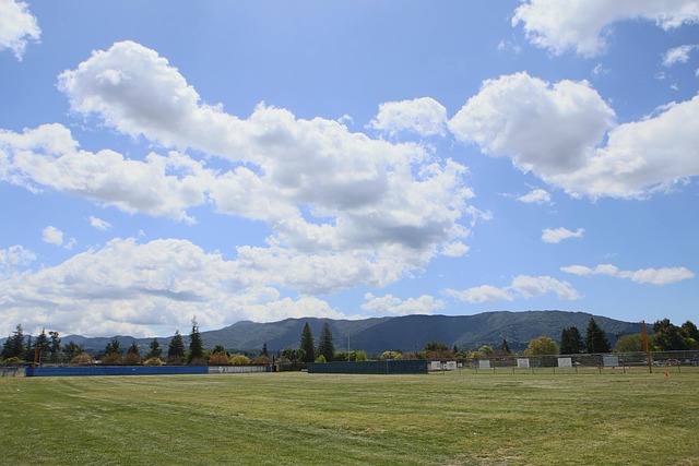 Real Estate & Friendly Residents: Fostering Vibrant Cultural Diversity