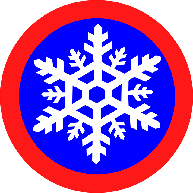 Snowflake