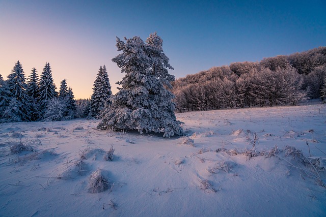 snowflake-640x480-83802366.jpeg