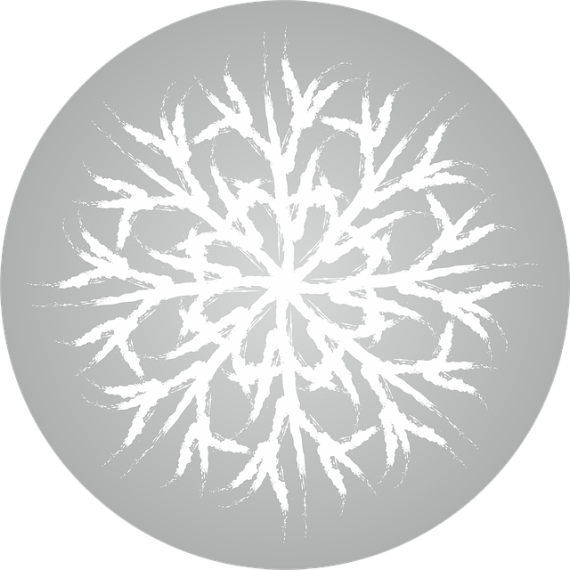 Snowflake