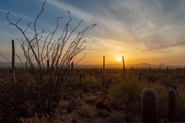 South Tucson