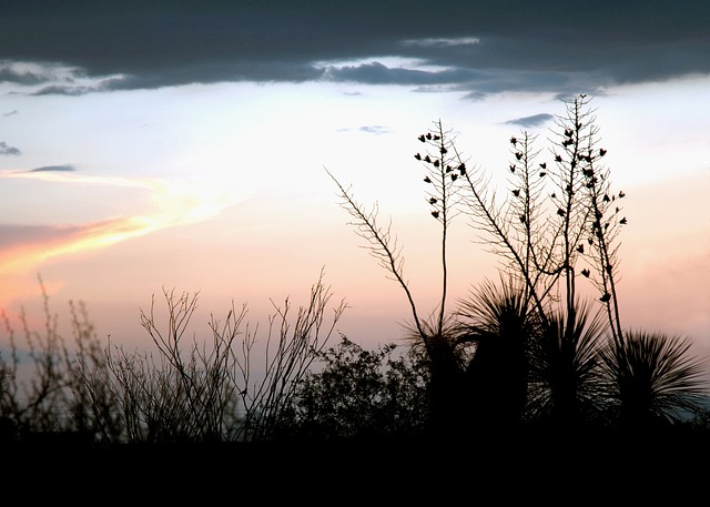 south-tucson-640x480-63775291.jpeg