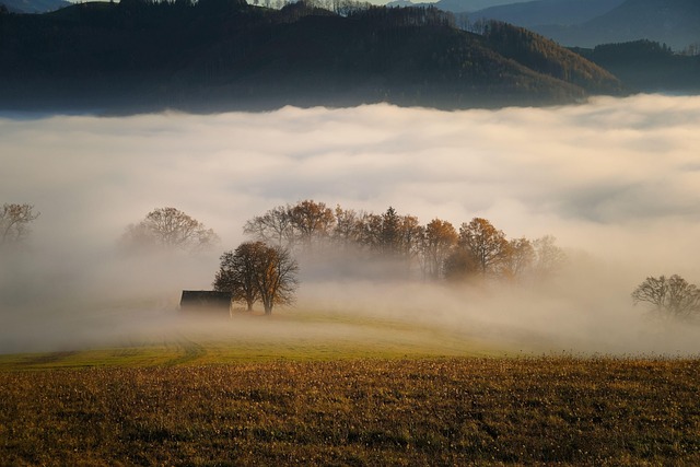 Star Valley