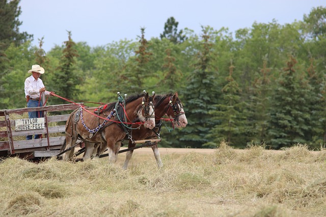Celebrating Tradition: Pioneer Heritage & Its Real Estate Impact