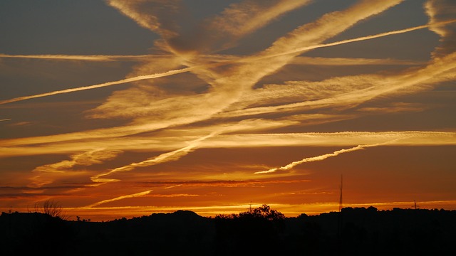tempe-640x480-73542767.jpeg
