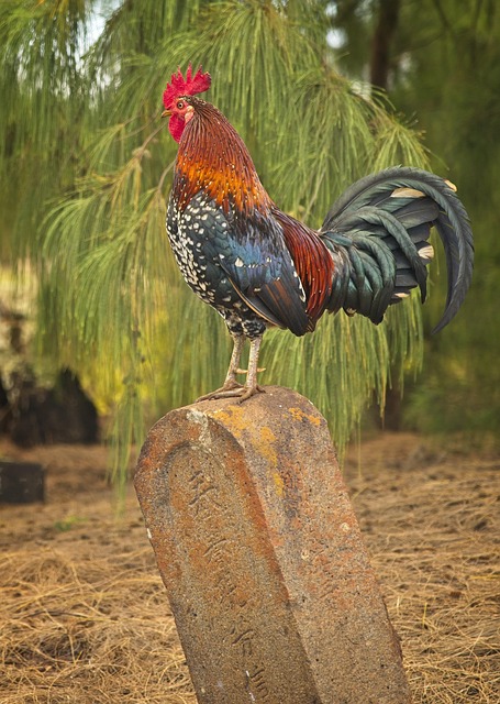 Tombstone