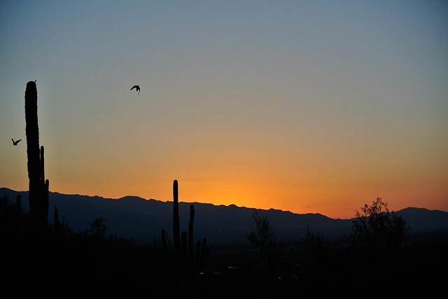 tucson-640x480-59604356.jpeg