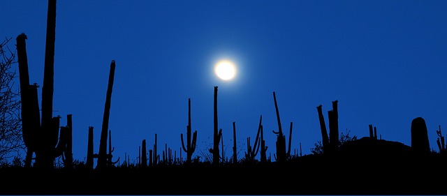 tucson-640x480-68390432.jpeg