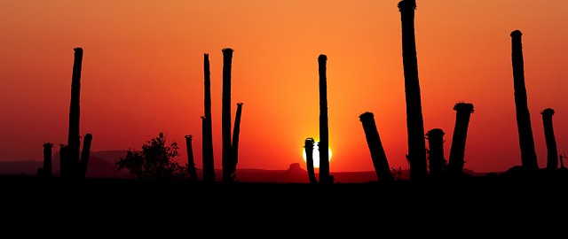 tucson-640x480-89667781.jpeg