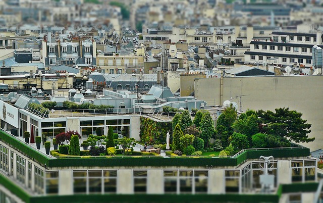 Urban-Shifts