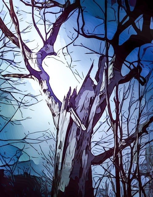 Cottonwood