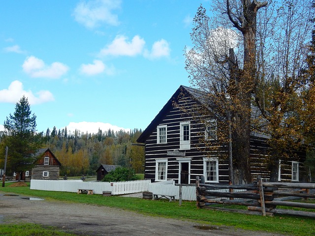 cottonwood-640x480-7444822.jpeg