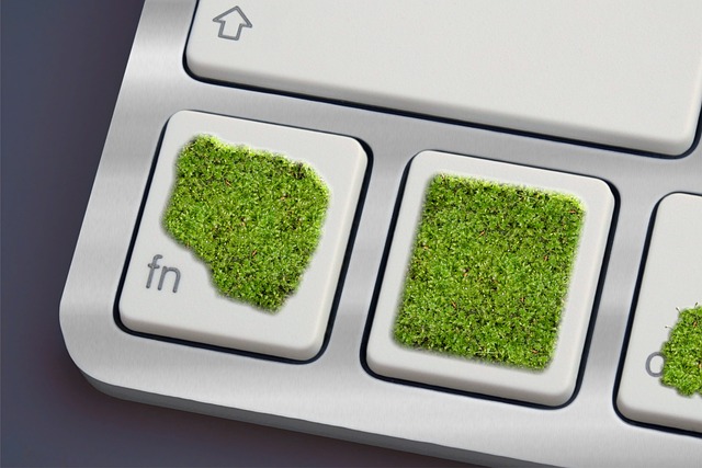 eco-landscaping-640x480-11500759.jpeg