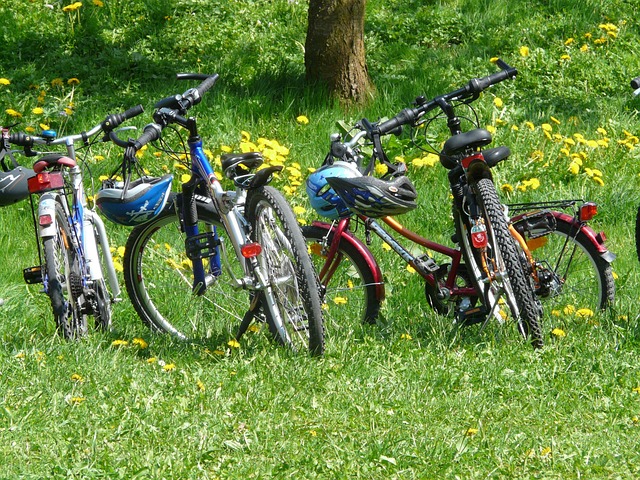 Economic-Cycles