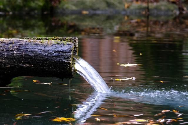 fountain-hills-640x480-37813434.jpeg