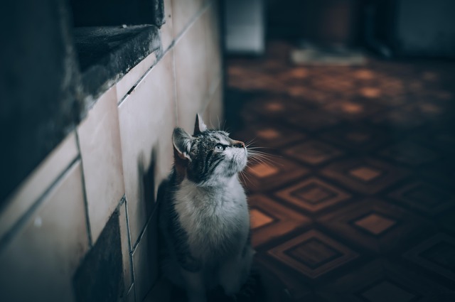 home-inspection-640x480-73877113.jpeg