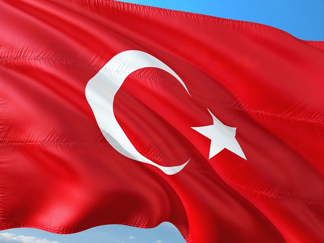 international-buying-640x480-71313946.jpeg