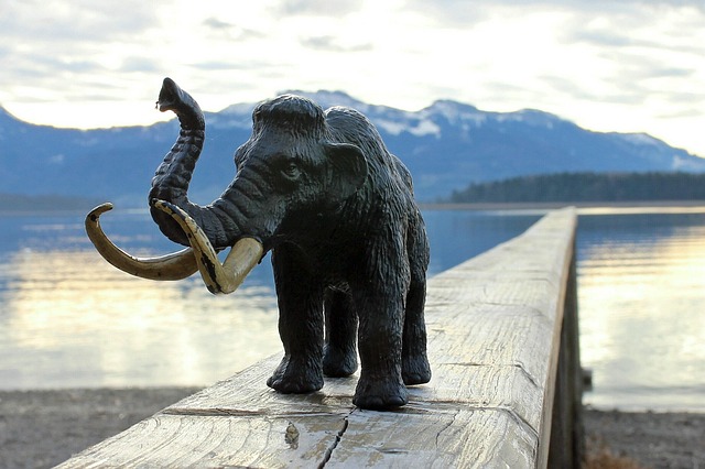 Mammoth