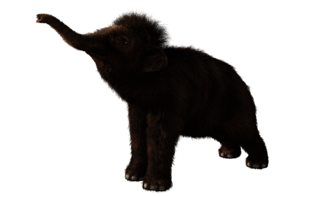 Mammoth