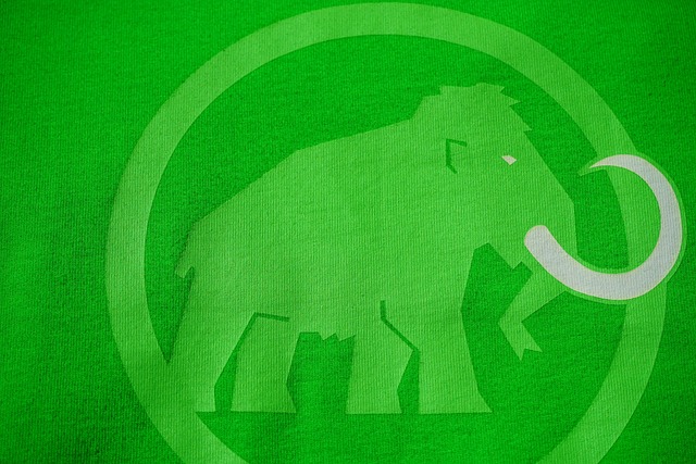Mammoth