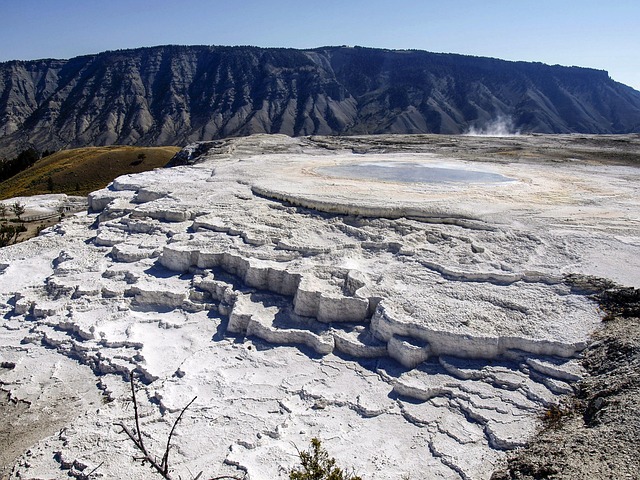 mammoth-640x480-80576492.jpeg