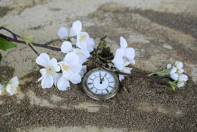 Market-Timing