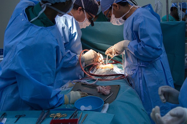 Operating-Budget