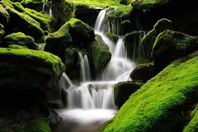 paradise-valley-640x480-62274864.jpeg