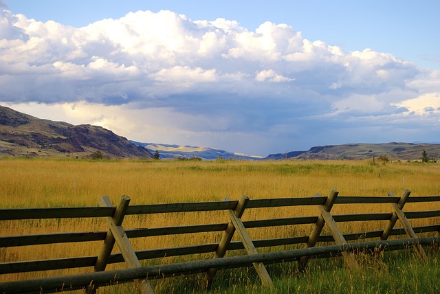 Paradise Valley