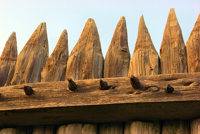 Outdoor Fun & Real Estate: Festivals Revitalize Local Communities