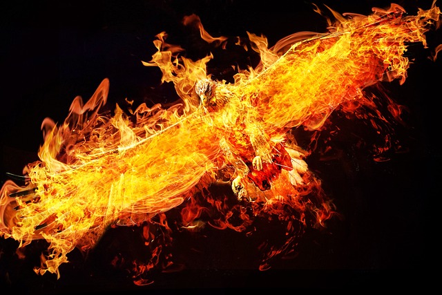 phoenix-640x480-67300517.jpeg