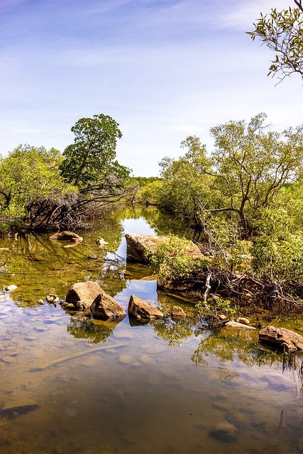Queen Creek